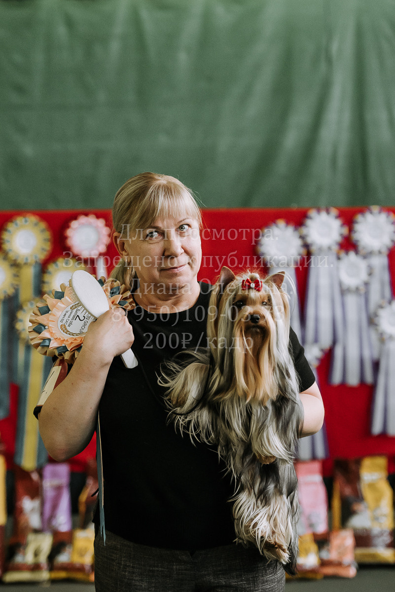 26.03.2022 Выставка собак г. Братск Континенталь. Фотограф Диана Оленина Красноярск / Братск