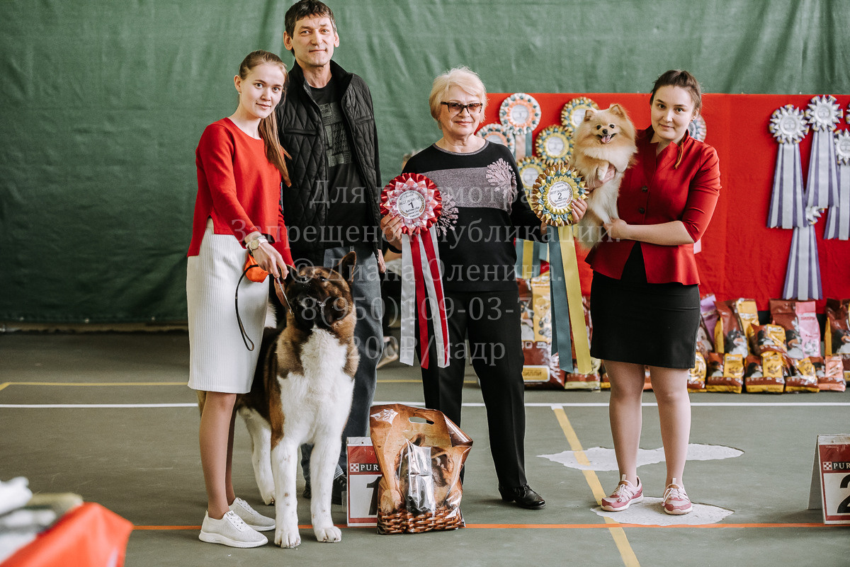 26.03.2022 Выставка собак г. Братск Континенталь. Фотограф Диана Оленина Красноярск / Братск