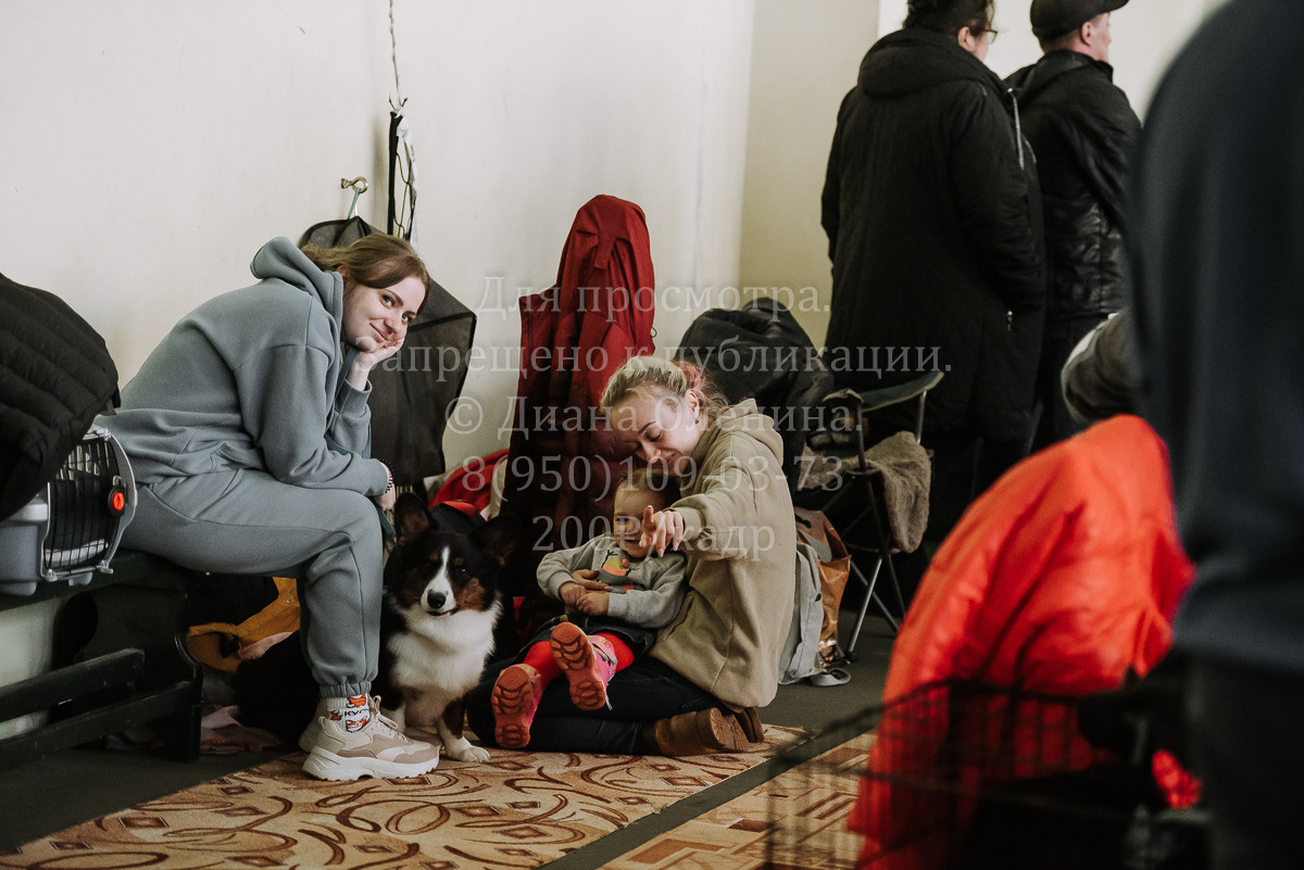 26.03.2022 Выставка собак г. Братск Континенталь. Фотограф Диана Оленина Красноярск / Братск