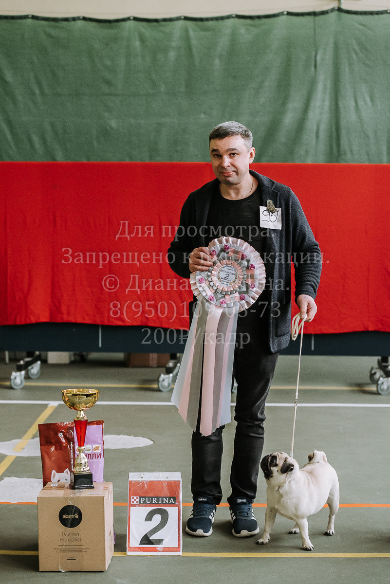 26.03.2022 Выставка собак г. Братск Континенталь. Фотограф Диана Оленина Красноярск / Братск