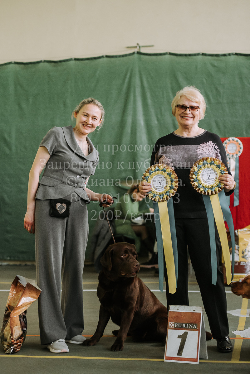 26.03.2022 Выставка собак г. Братск Континенталь. Фотограф Диана Оленина Красноярск / Братск
