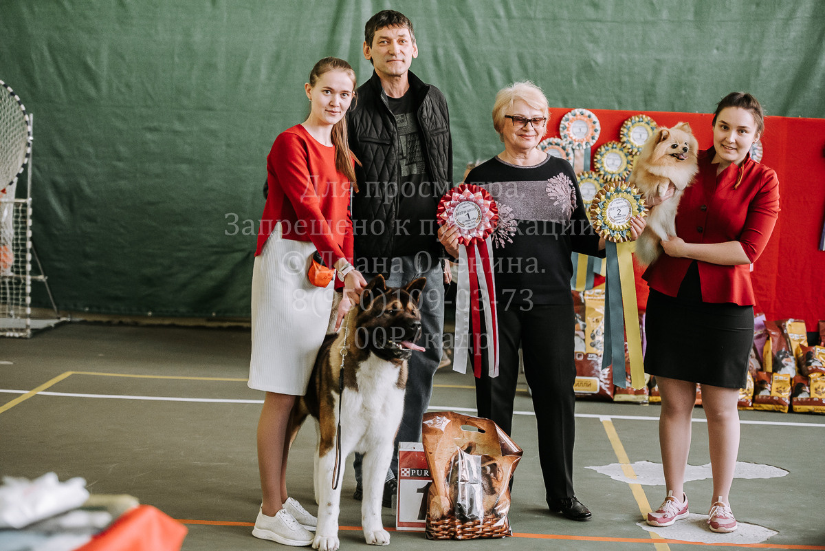 26.03.2022 Выставка собак г. Братск Континенталь. Фотограф Диана Оленина Красноярск / Братск