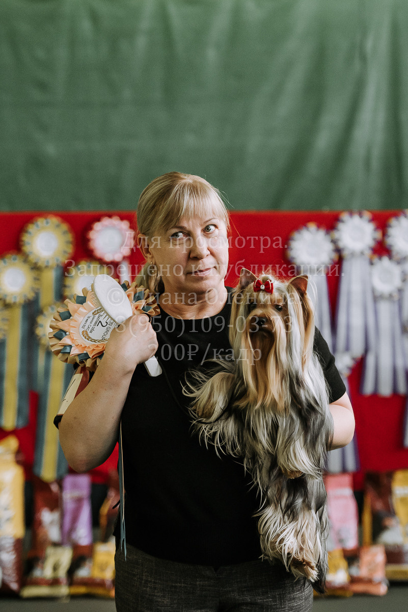 26.03.2022 Выставка собак г. Братск Континенталь. Фотограф Диана Оленина Красноярск / Братск