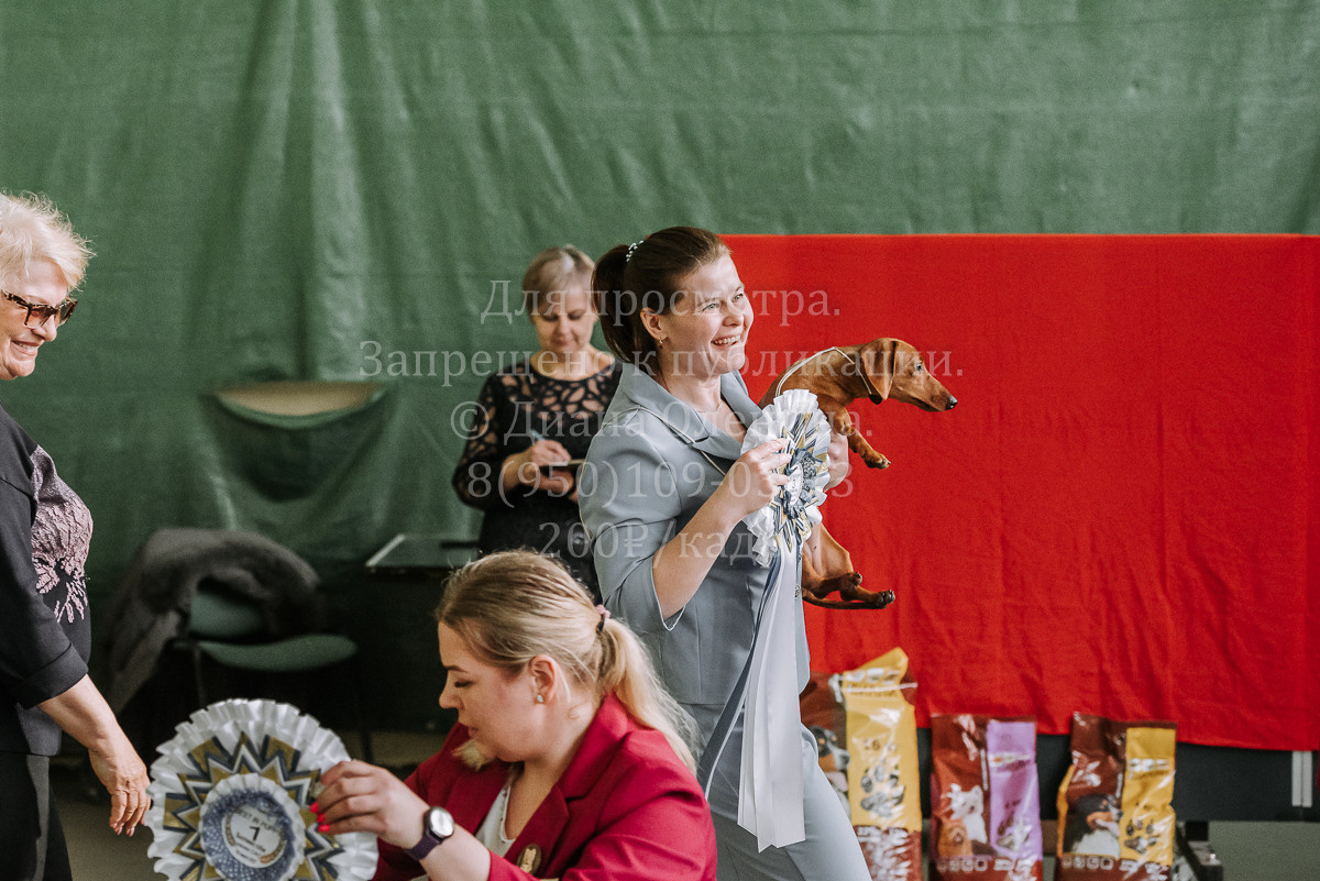 26.03.2022 Выставка собак г. Братск Континенталь. Фотограф Диана Оленина Красноярск / Братск