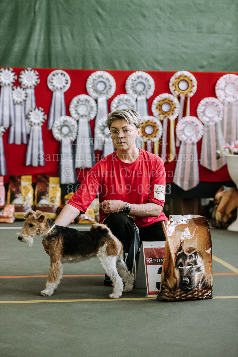 26.03.2022 Выставка собак г. Братск Континенталь. Фотограф Диана Оленина Красноярск / Братск