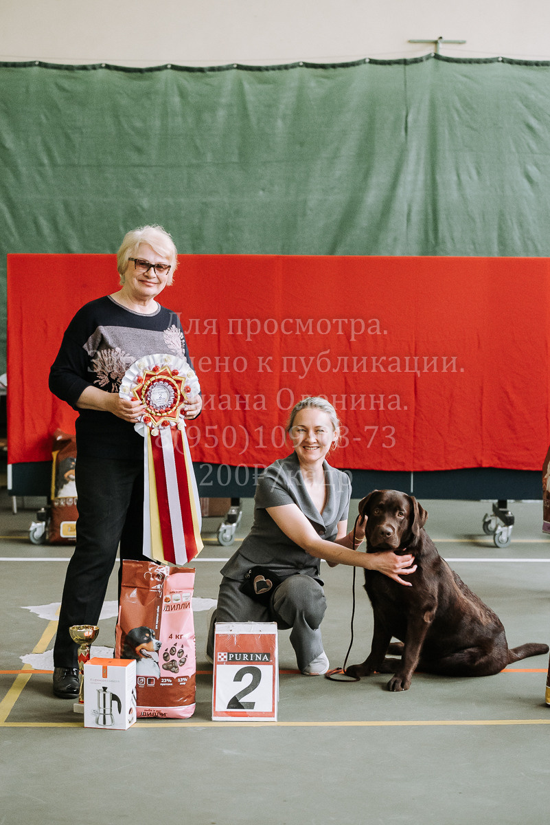 26.03.2022 Выставка собак г. Братск Континенталь. Фотограф Диана Оленина Красноярск / Братск