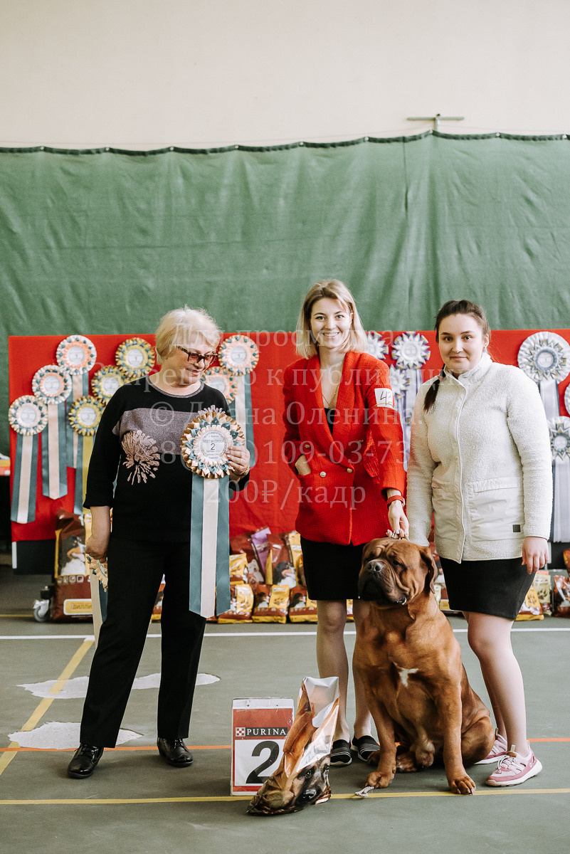 26.03.2022 Выставка собак г. Братск Континенталь. Фотограф Диана Оленина Красноярск / Братск