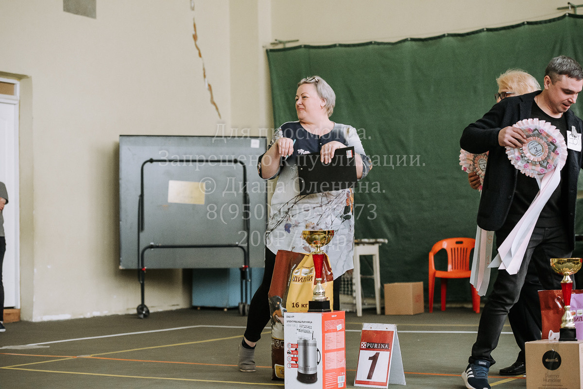 26.03.2022 Выставка собак г. Братск Континенталь. Фотограф Диана Оленина Красноярск / Братск