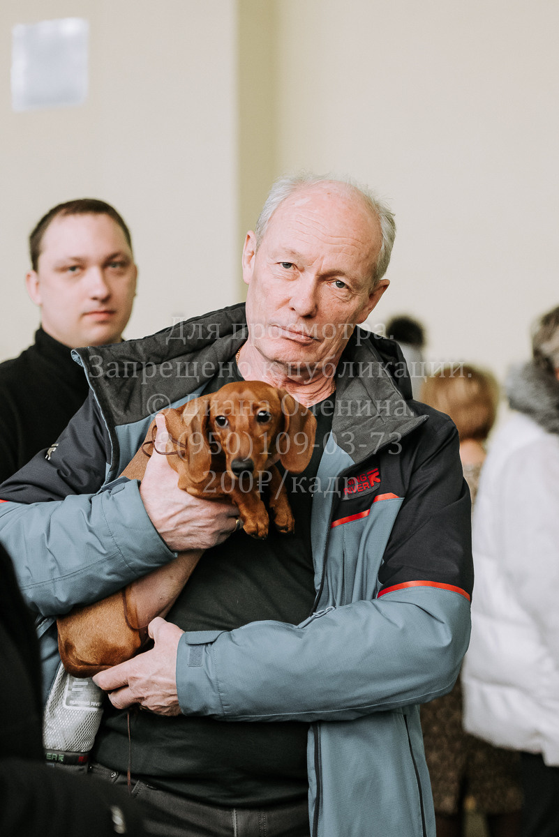 26.03.2022 Выставка собак г. Братск Континенталь. Фотограф Диана Оленина Красноярск / Братск