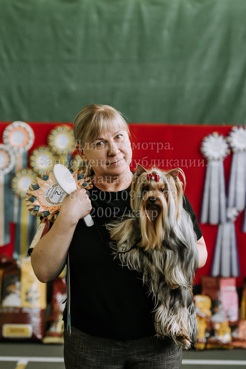26.03.2022 Выставка собак г. Братск Континенталь. Фотограф Диана Оленина Красноярск / Братск