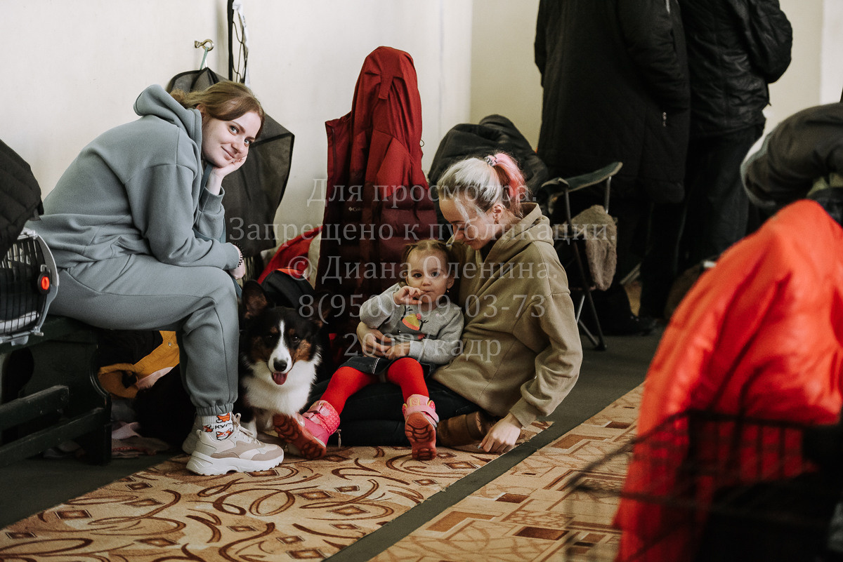 26.03.2022 Выставка собак г. Братск Континенталь. Фотограф Диана Оленина Красноярск / Братск