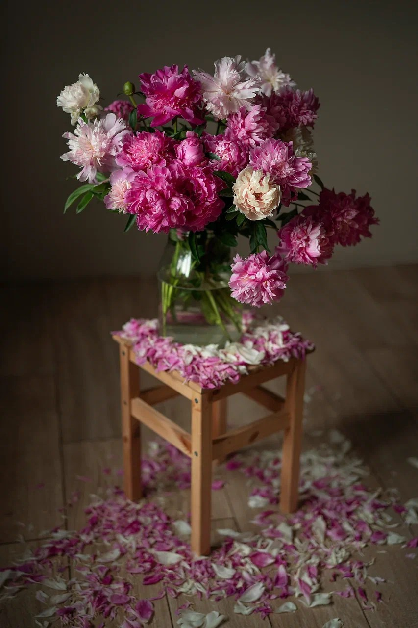 Портфолио. Карнеева Елена. Детский, семейный фотограф