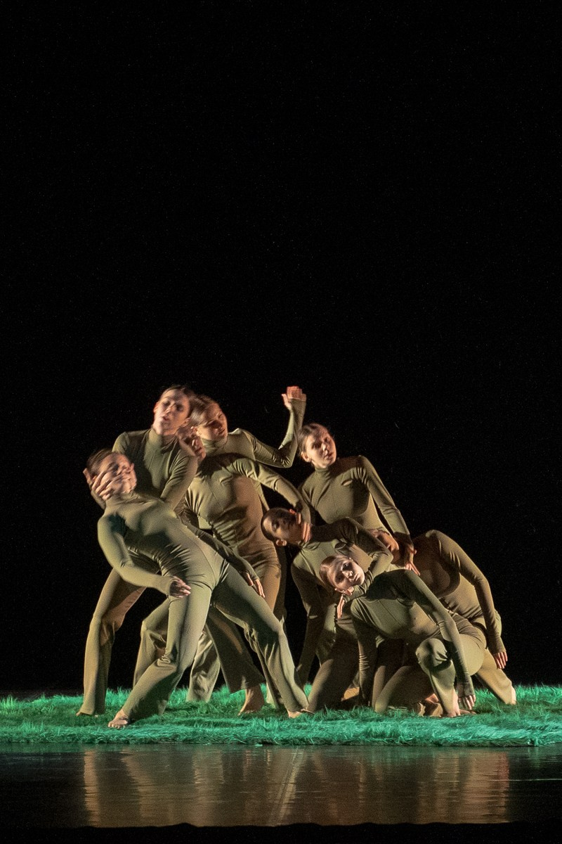 Новофест Фестиваль современного танца. Главная