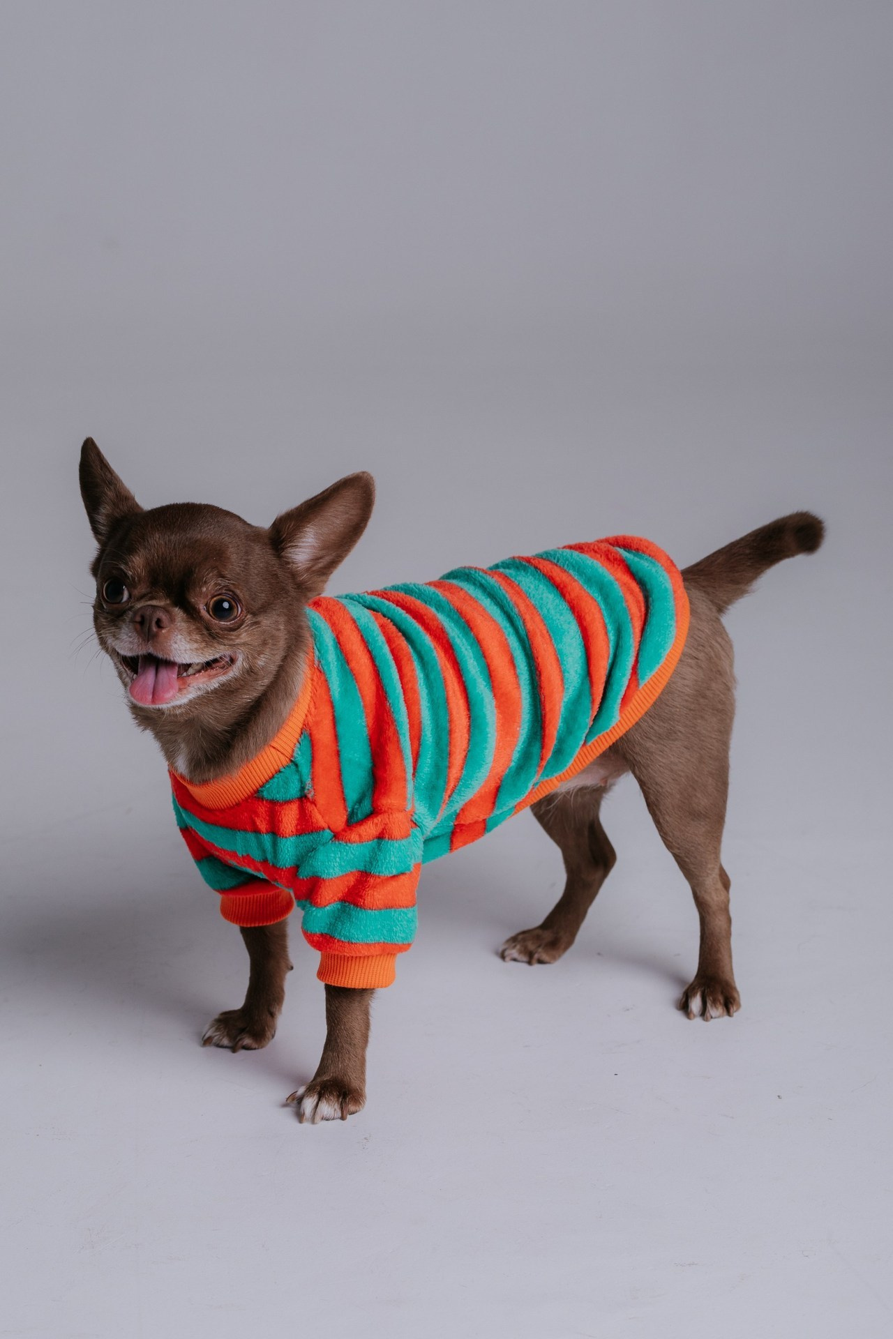 Отзывы. Свадебный, семейный фотограф в Дзержинске, Нижнем Новгороде Наталья Хр