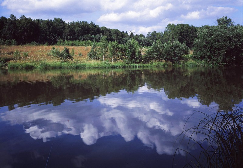 Лето. ВАДИМ ГИППЕНРЕЙТЕР — ВЕЛИКИЙ ФОТОГРАФ ЗЕМЛИ РУССКОЙ