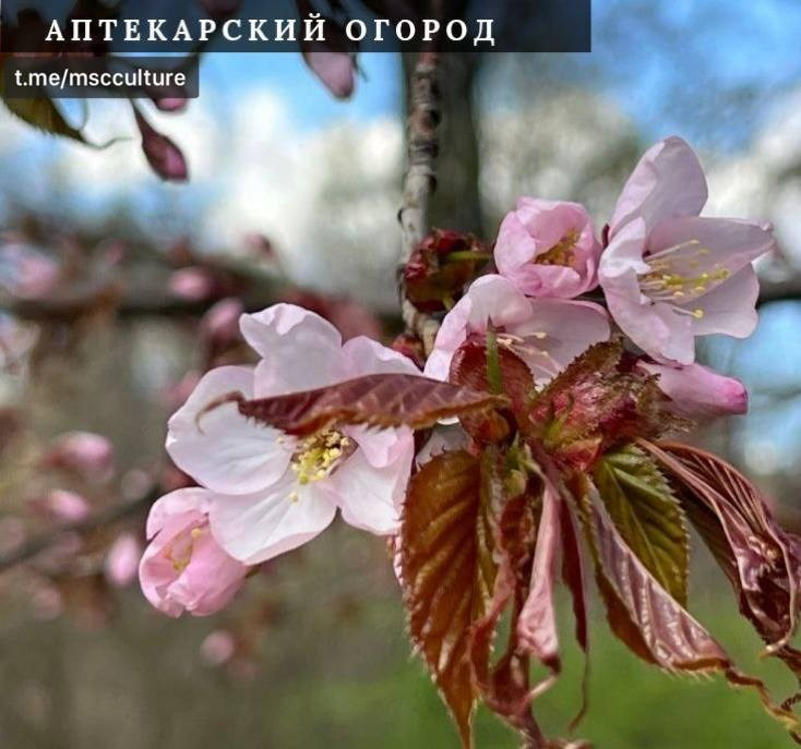 Локации для фотосессии в Москве