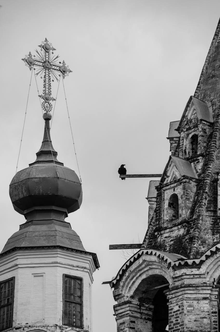 Nature. Фотограф/Видеограф