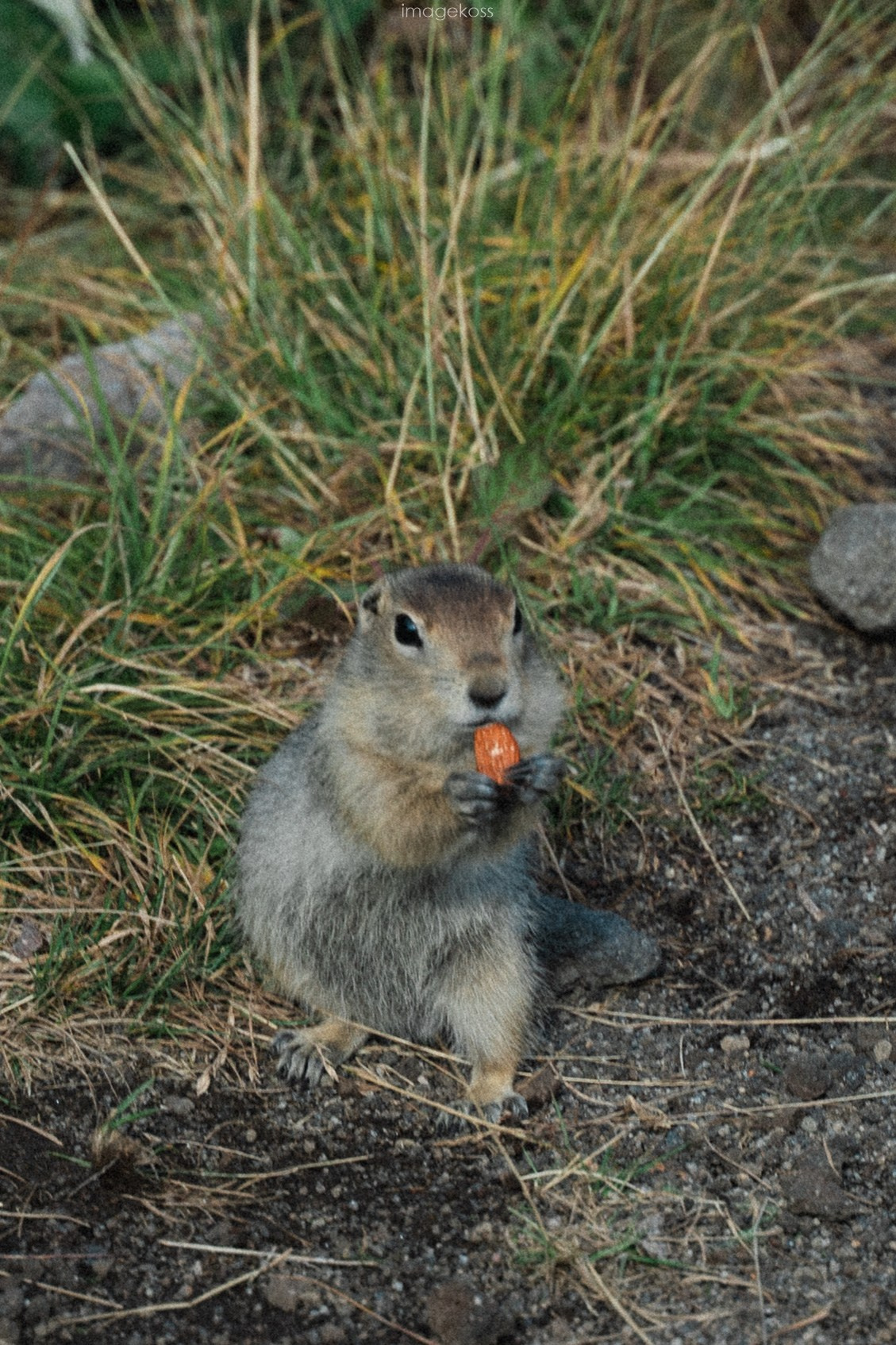 Камчатка. Фотограф в поход и восхождение на Эльбрус Игорь Косарев