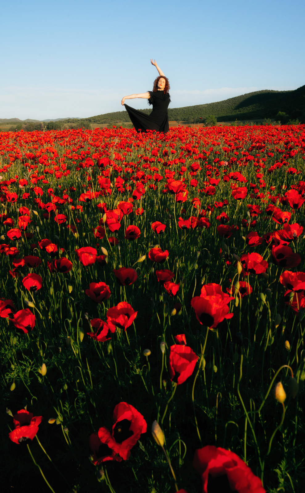Красивая фотосессия в маках, Грузия, Тбилиси