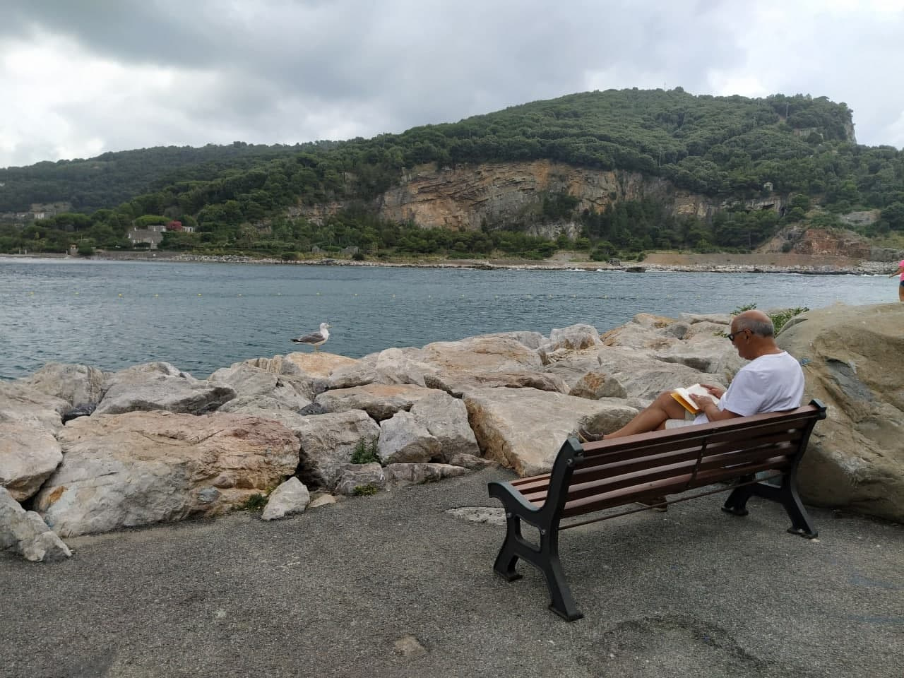 Автор: Александра Серебровская