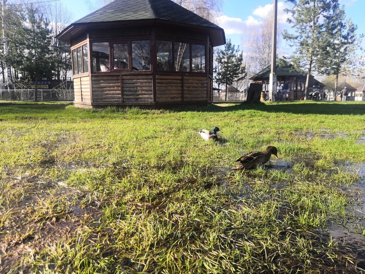 Шашлыки. Открытие сезона | 01.05.2021. Галерея Фантим