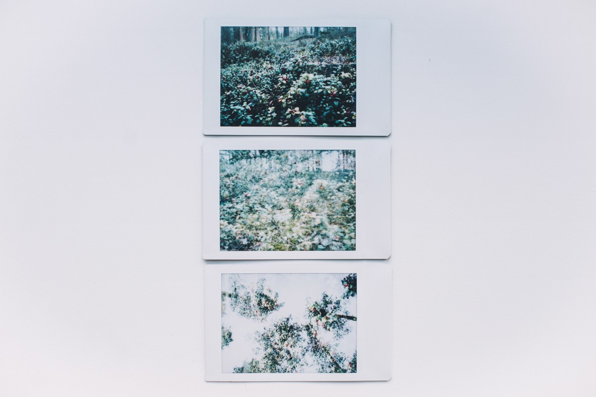 FUJI. Анна Ульянова