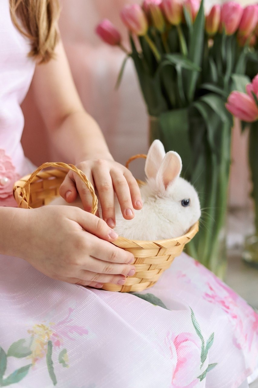 ФОТОДЕНЬ С КРОЛИКАМИ. Фотостудия LIGHT в Люберцах