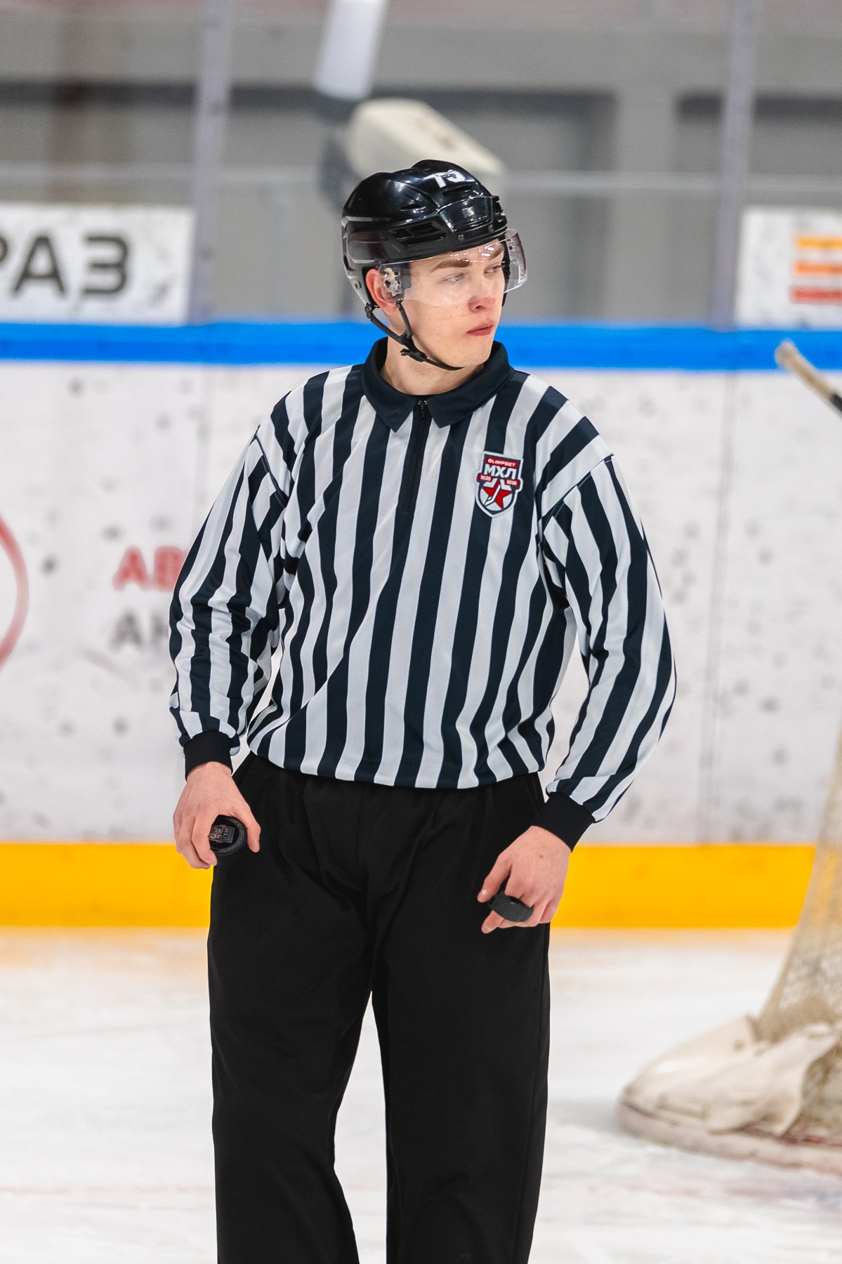 Медведи-Мамонты Югры. ProfotoNK