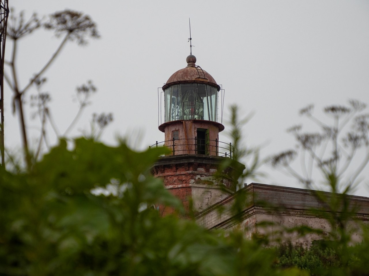 Сахалин. Фотограф Александр Головин