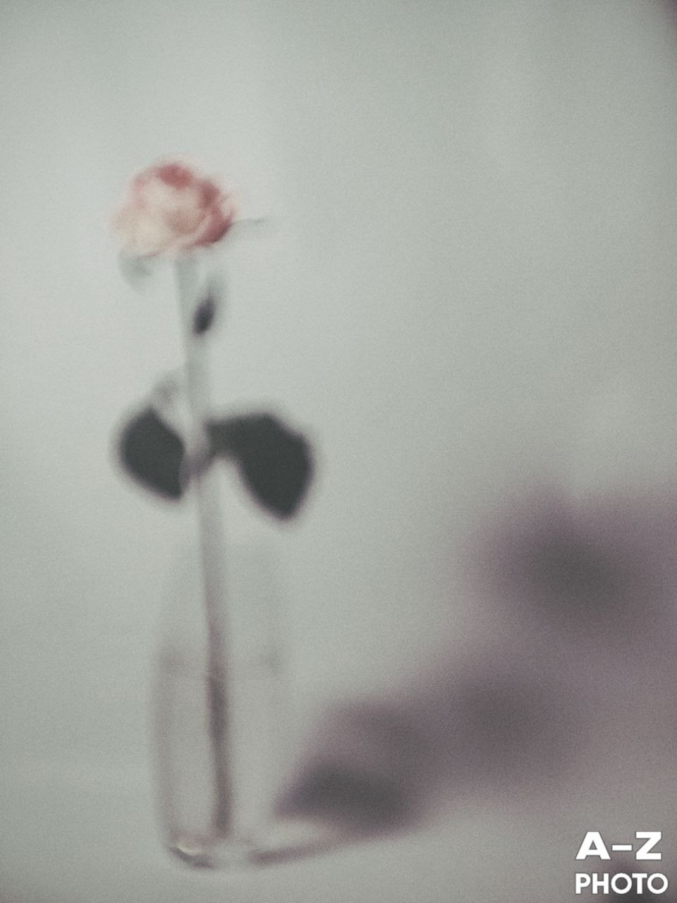 #ФОТОНЕДЕЛИ 26.01.2026. Женский семейный фотограф Тула Москва Захарова Анна