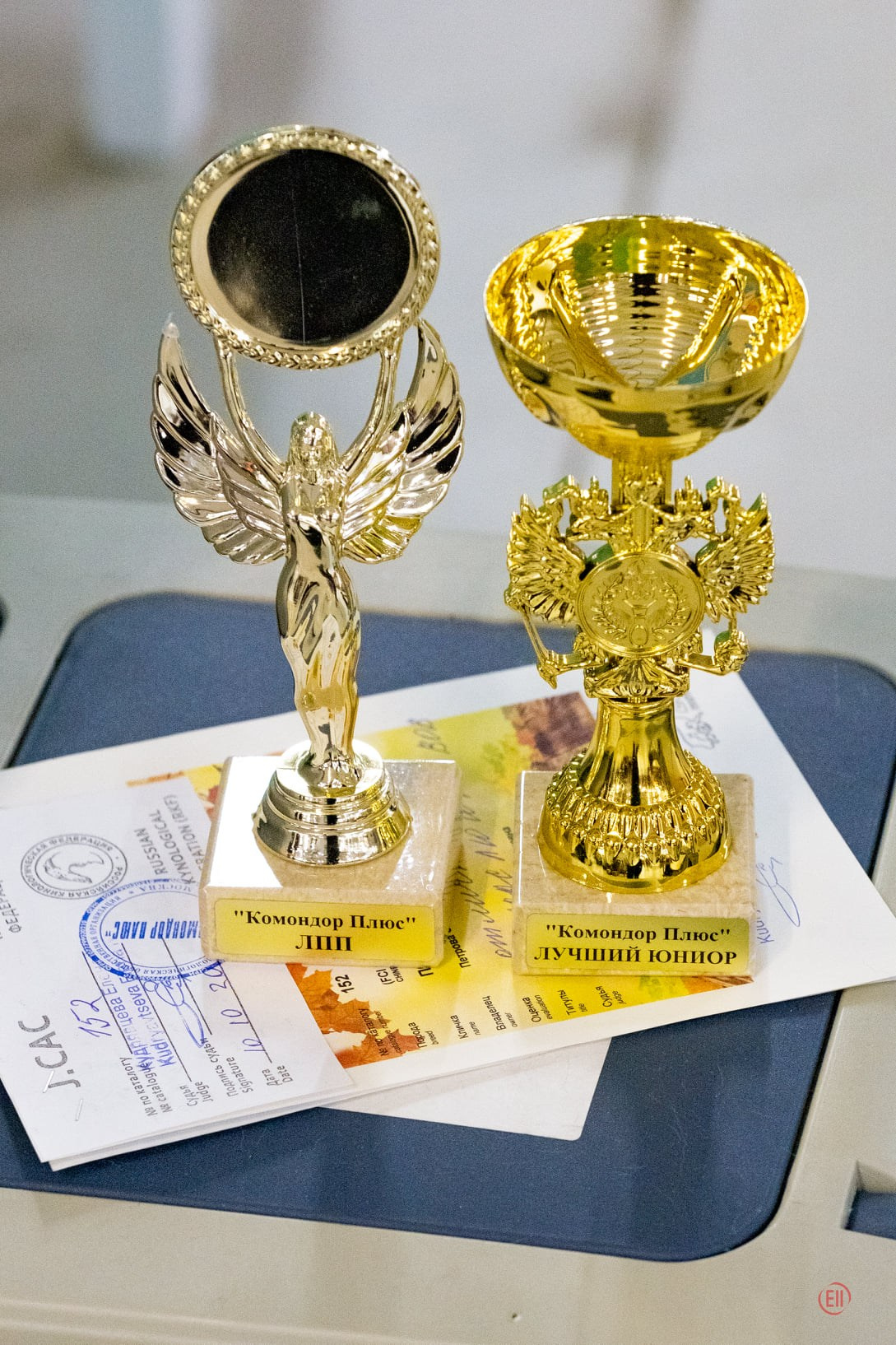 10.10.2020, г.Москва, две выставки. МКОО Комондор Плюс, Национальная выставка всех пород ранга САС, судья Кудрявцева Елена Николаевна. Честер - CW, JCAC, ЛЮ, ЮЧФ, BOB, BIG 2. МКОО "Пастушьи Породы Плюс", Национальная выставка всех пород ранга САС, судья Бровкина Татьяна Ивановна. Честер- CW, JCAC, ЛЮ, ЮЧФ, BOB. 