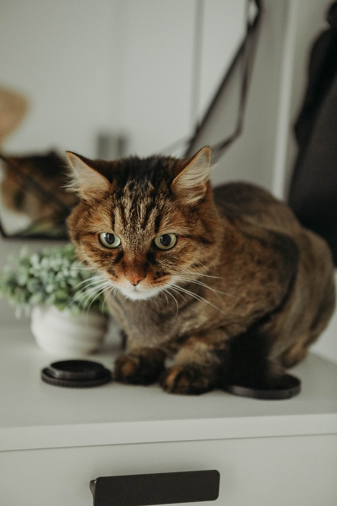 Дом — территория настоящности!. Катя Сидор — фотограф в Москве