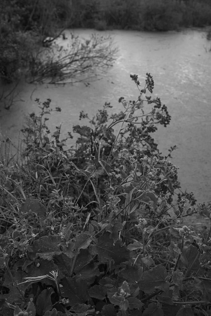 Sedimentation. Пылина Ирина — современная фотография