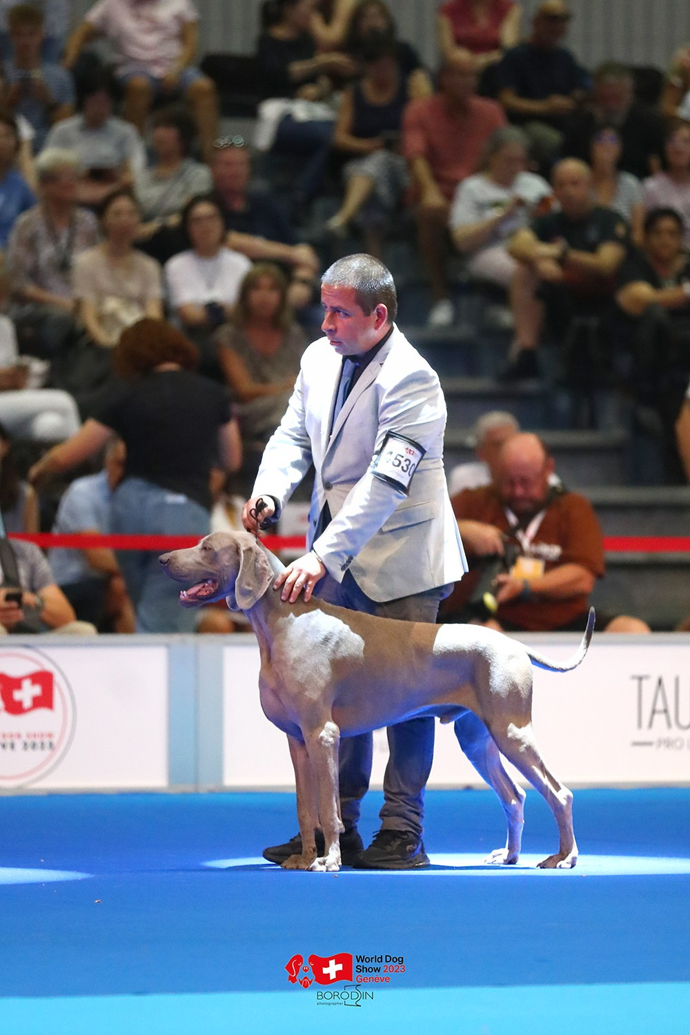 24-27.08.2023 WDS Geneva. Фотограф Дмитрий Бородин