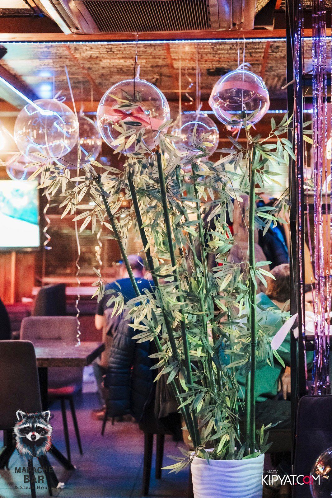 MAPACHE BAR. КИПЯТКОМ АЛМАТЫ! Фотосъемка мероприятий в Алматы