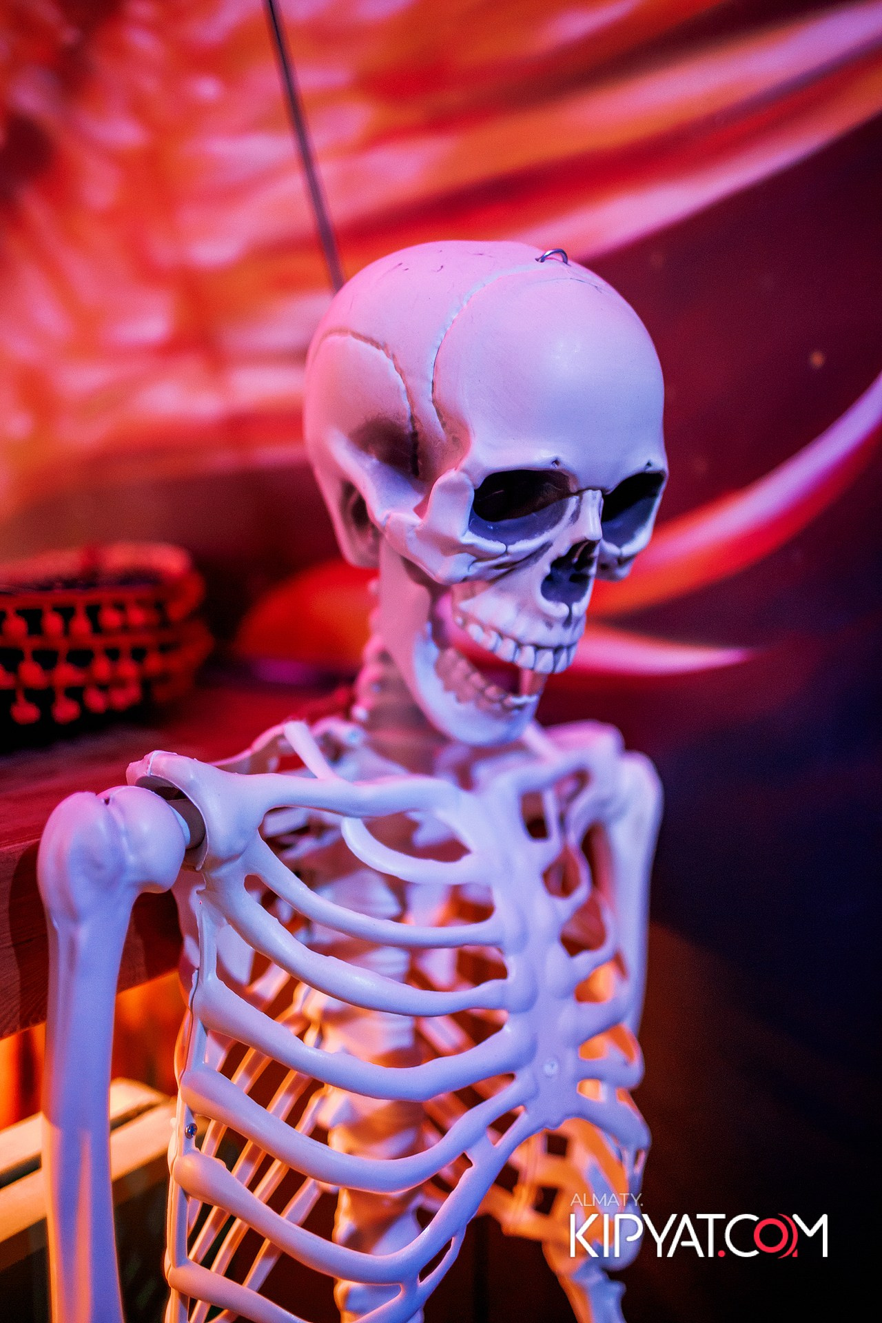 VICTORY MEXICAN AND WILD. КИПЯТКОМ АЛМАТЫ! Фотосъемка мероприятий в Алматы