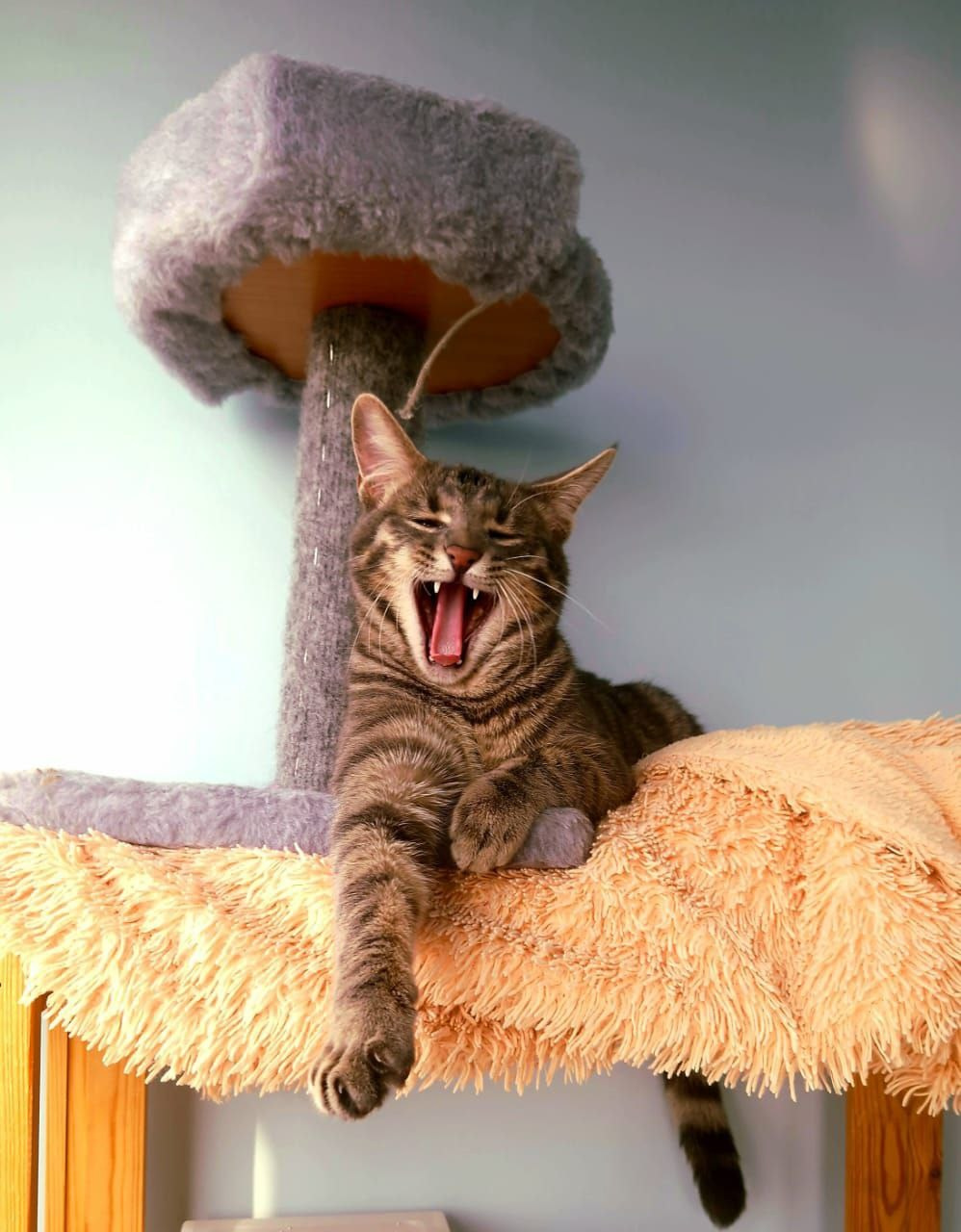 Мобильная фотография. Фотограф г. Владивосток