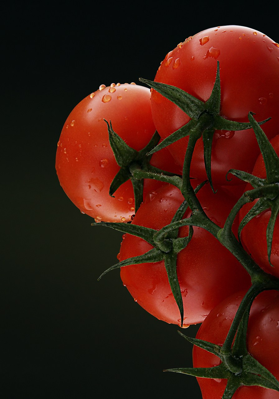 ПРЕДМЕТНАЯ ФОТОГРАФИЯ. Андрей Пономарёв
