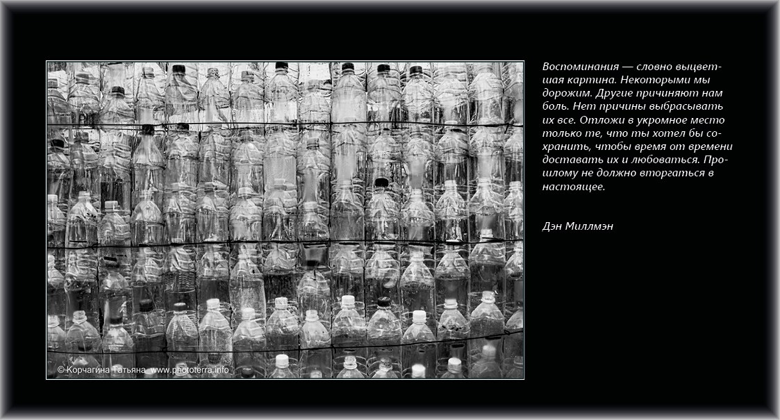 Совет дня — ориентир. Татьяна Корчагина. Фотограф, художник. Обучение фотографии