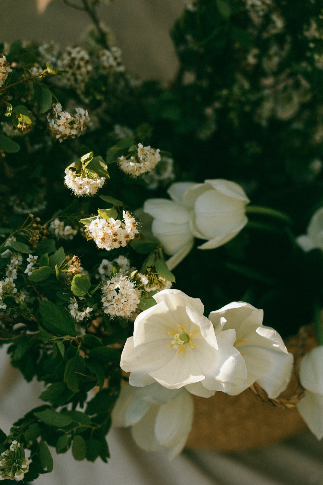 У вас мальчик 🩵. Фотограф Нижний Новгород