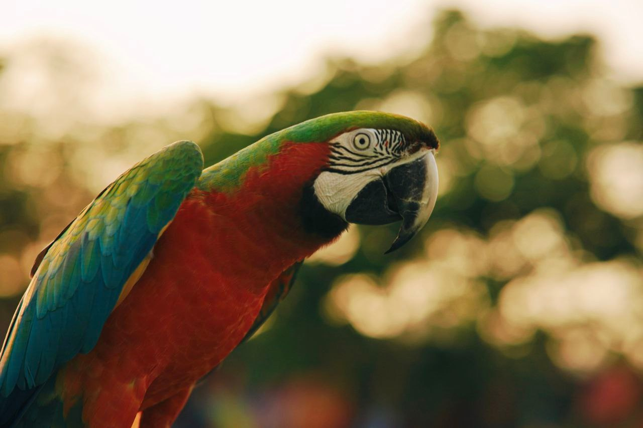 Эль-Джубайль. СА. 2025. Фотограф Михаил Олейник