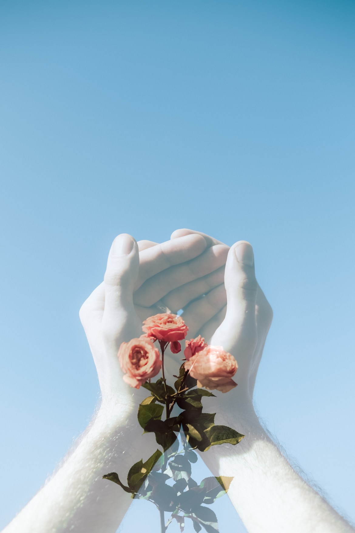 Костя. Съёмка с цветами в поле. Lickord