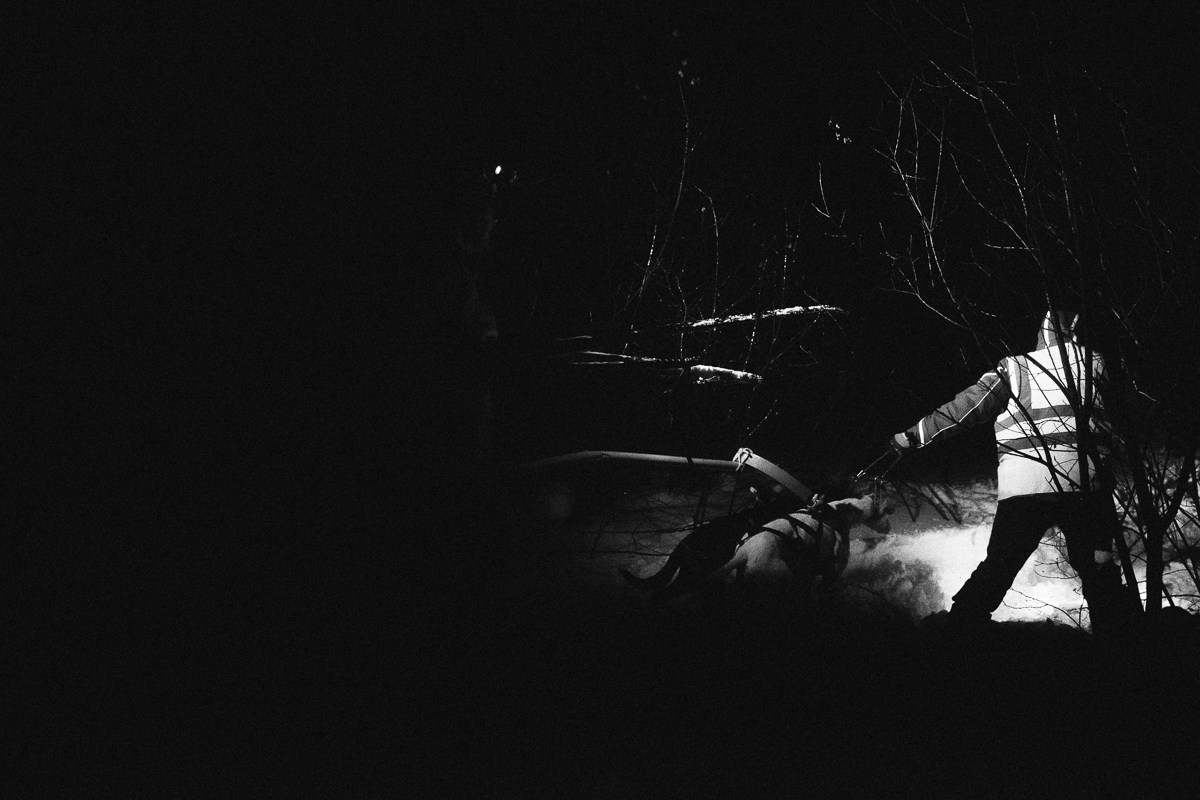 Северная Надежда. Виктор Вытольский —репортажный и событийный фотограф в Москве