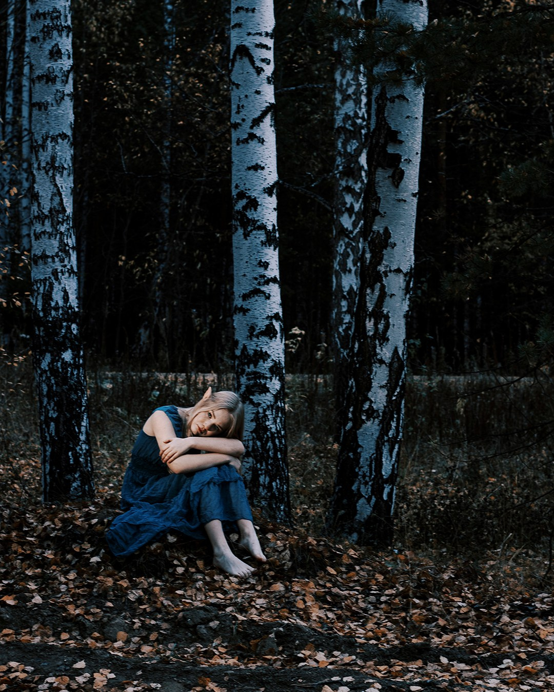 Сумерки Эльфа. 