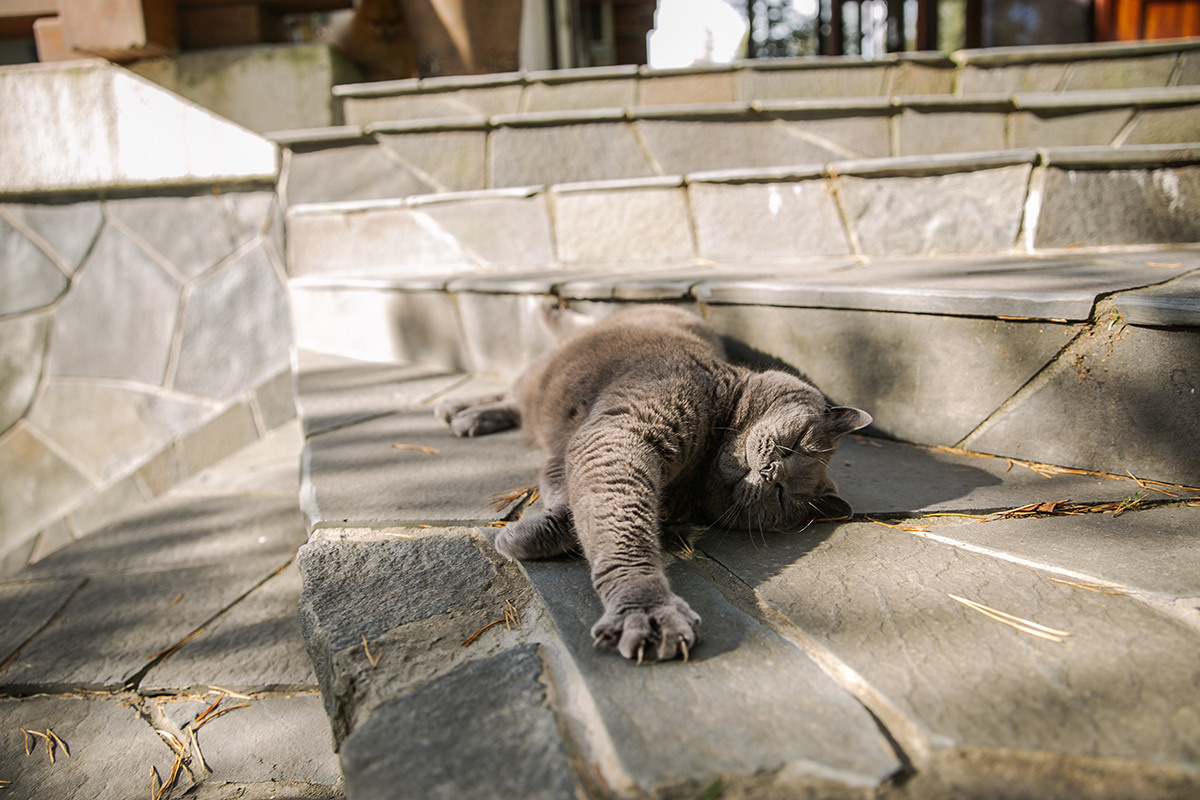 Детский день рождения в загородном доме. Детский и семейный фотограф в Санкт-Петербурге Елена Крюкова