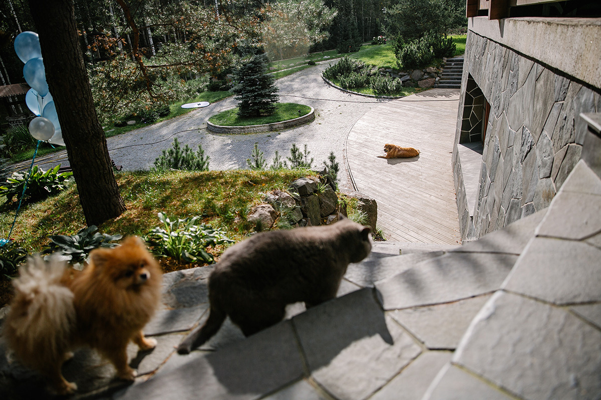 Детский день рождения в загородном доме. Детский и семейный фотограф в Санкт-Петербурге Елена Крюкова