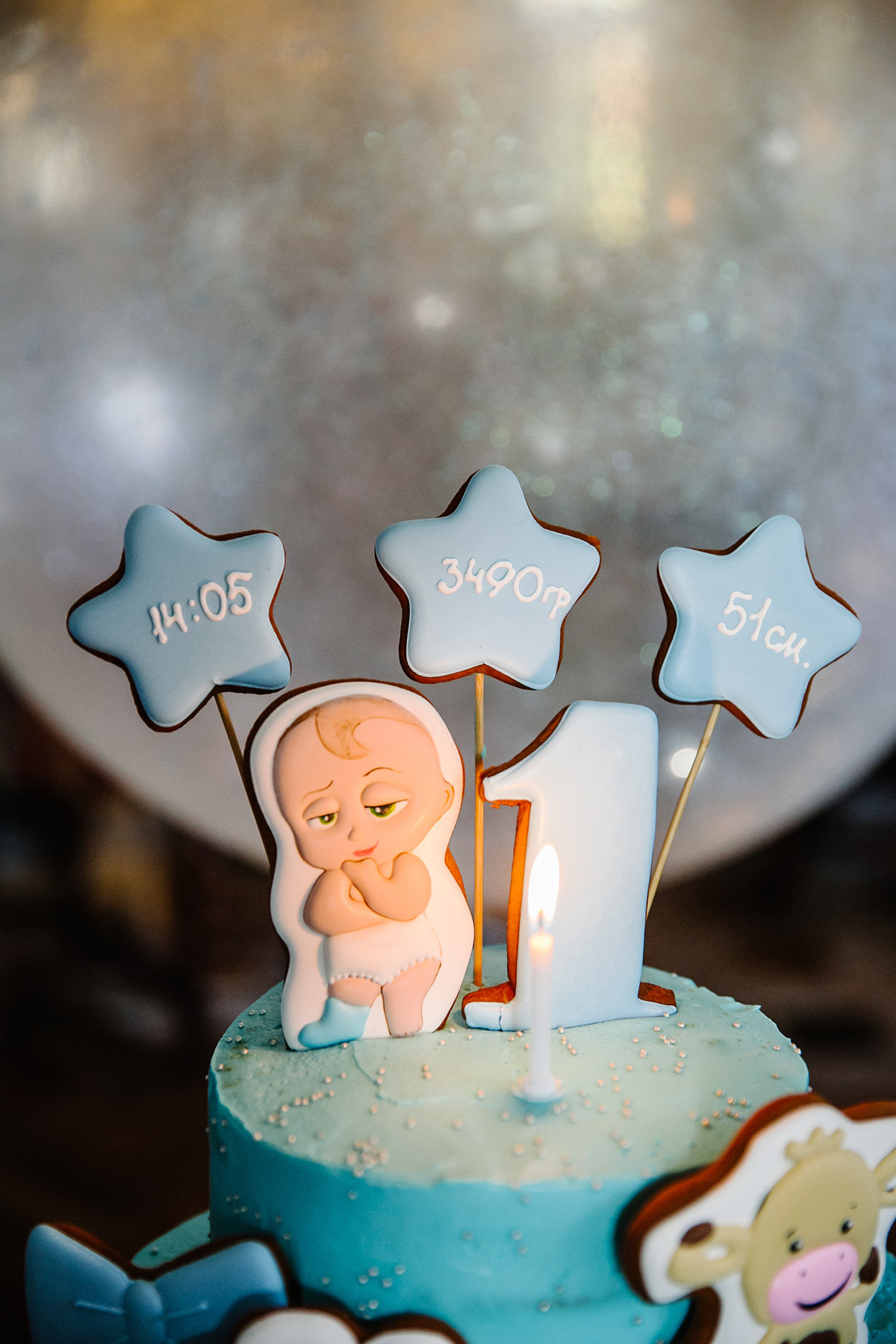 Детский день рождения в загородном доме. Детский и семейный фотограф в Санкт-Петербурге Елена Крюкова