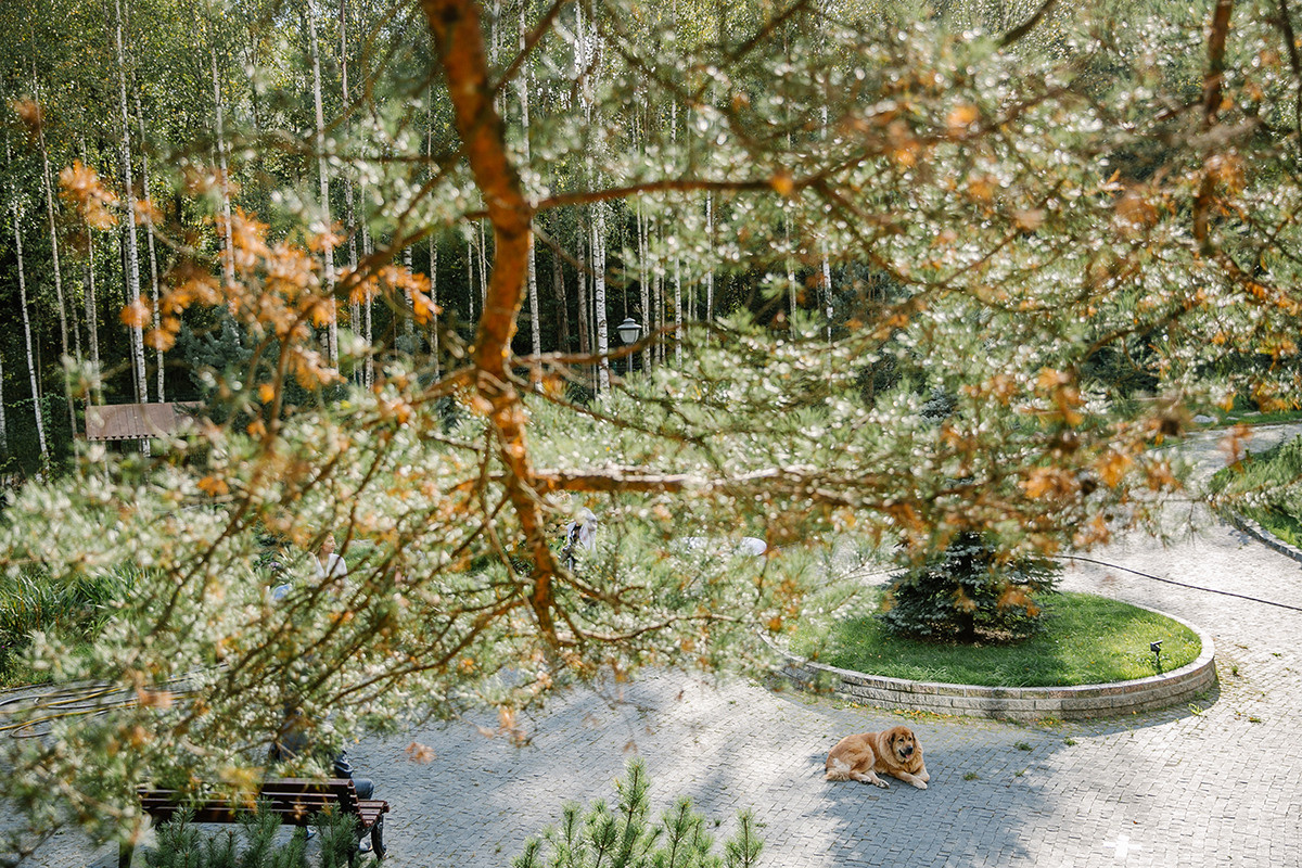 Детский день рождения в загородном доме. Детский и семейный фотограф в Санкт-Петербурге Елена Крюкова