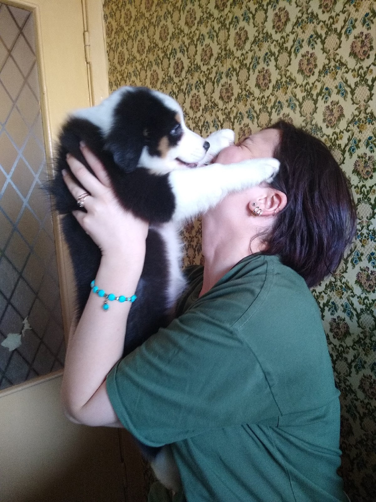 Рави. BLGKV питомник собак