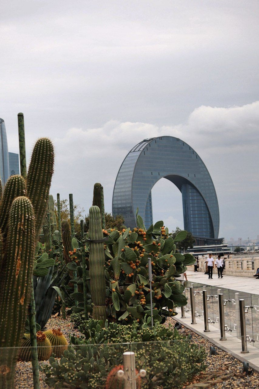 Баку. Главная